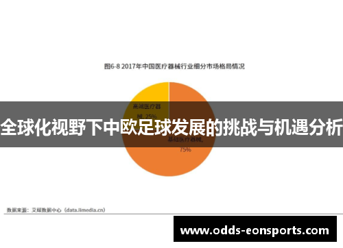 全球化视野下中欧足球发展的挑战与机遇分析