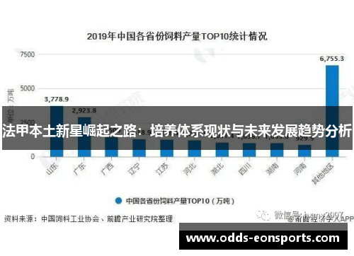 法甲本土新星崛起之路：培养体系现状与未来发展趋势分析