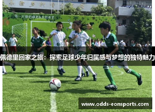 佩德里回家之旅：探索足球少年归属感与梦想的独特魅力