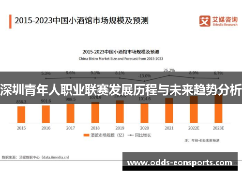 深圳青年人职业联赛发展历程与未来趋势分析