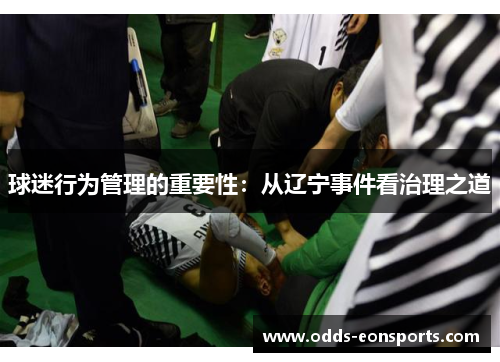 球迷行为管理的重要性:从辽宁事件看治理之道