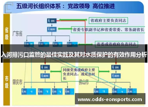 入河排污口监管的最佳实践及其对水质保护的有效作用分析
