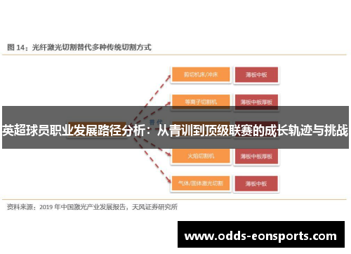 英超球员职业发展路径分析:从青训到顶级联赛的成长轨迹与挑战