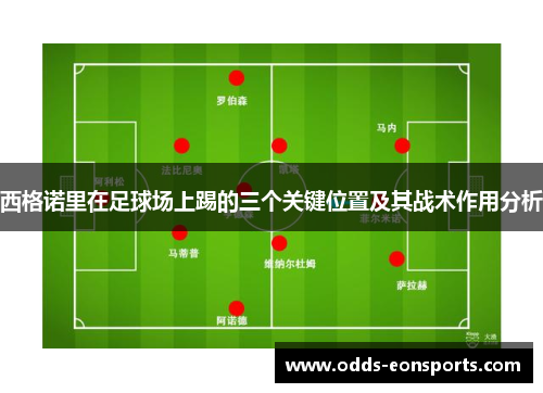 西格诺里在足球场上踢的三个关键位置及其战术作用分析