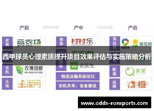 西甲球员心理素质提升项目效果评估与实施策略分析