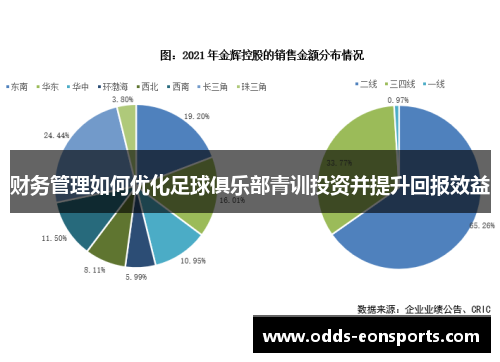 财务管理如何优化足球俱乐部青训投资并提升回报效益