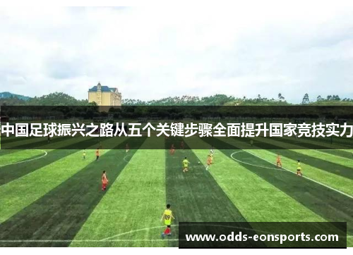 中国足球振兴之路从五个关键步骤全面提升国家竞技实力